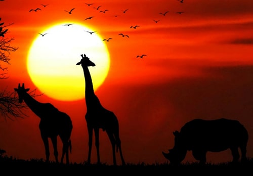 Animal and Nature Stories